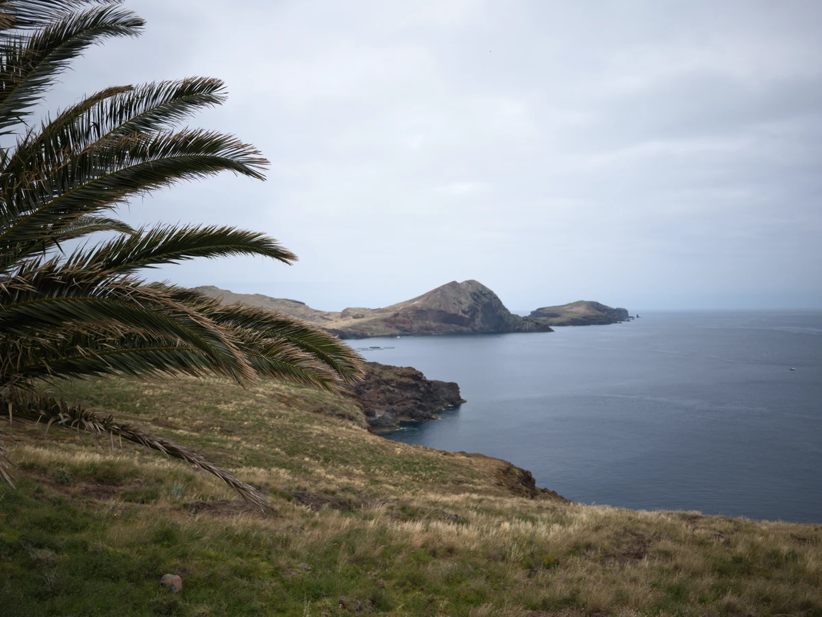 Cap rocheux avancé dans la mer, palmier au premier plan, presqu'île verdoyante.