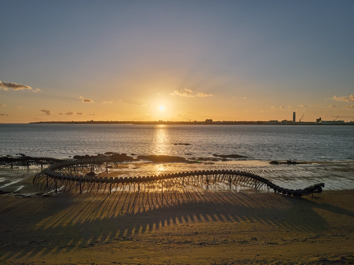 ... au coucher — photographie 26