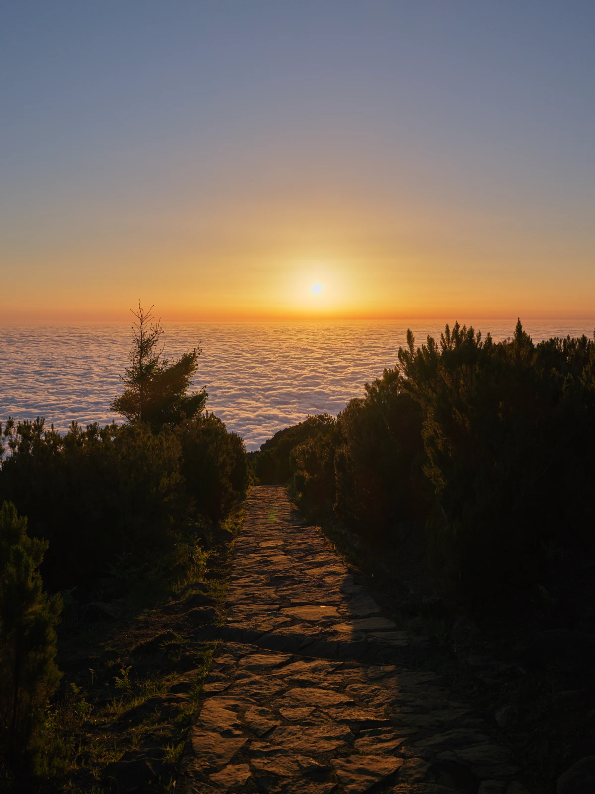 Au lever ... — photographie 17
