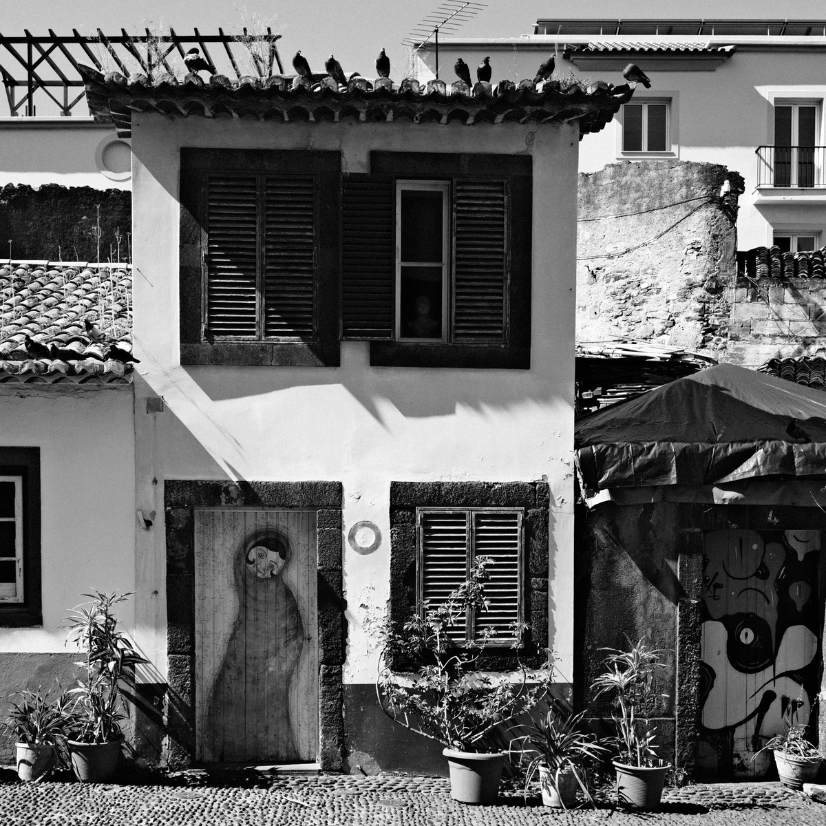 Instantané — photographie 30