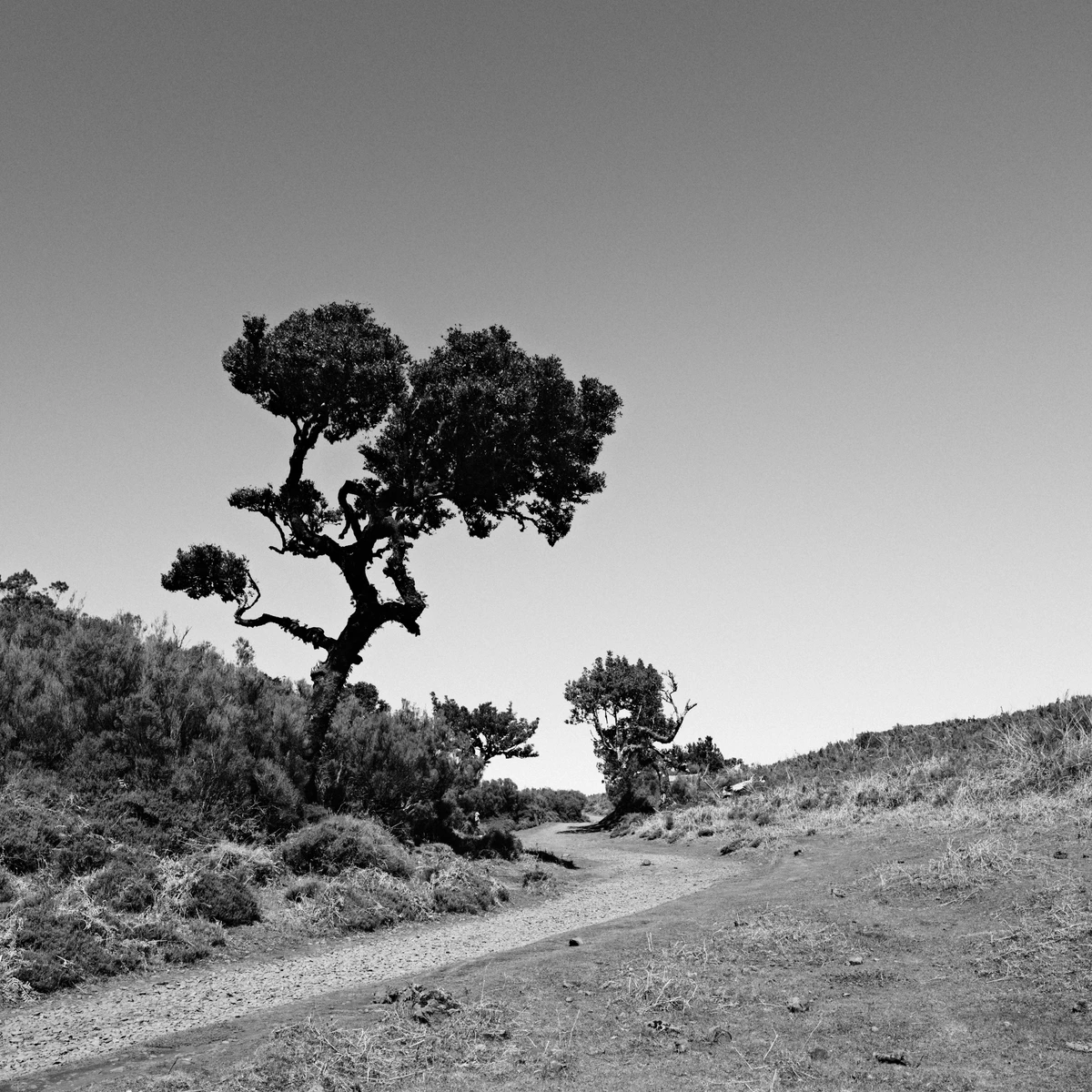 Instantané — photographie 31