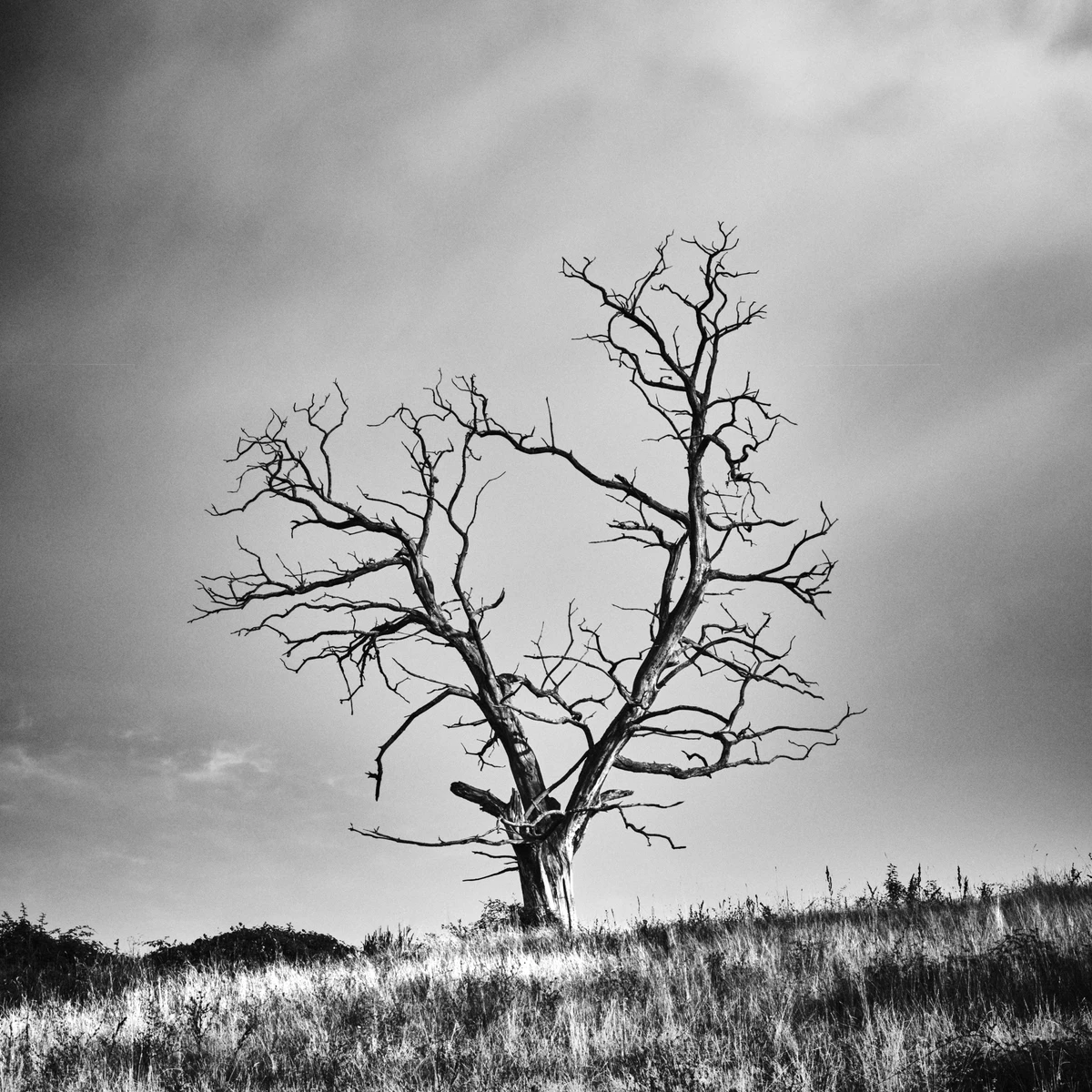 Noir & Blanc — photographie 65