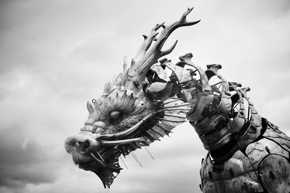 Noir & Blanc — photographie 71