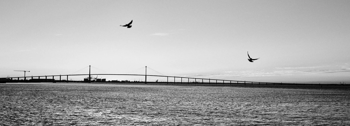 Noir & Blanc — photographie 86