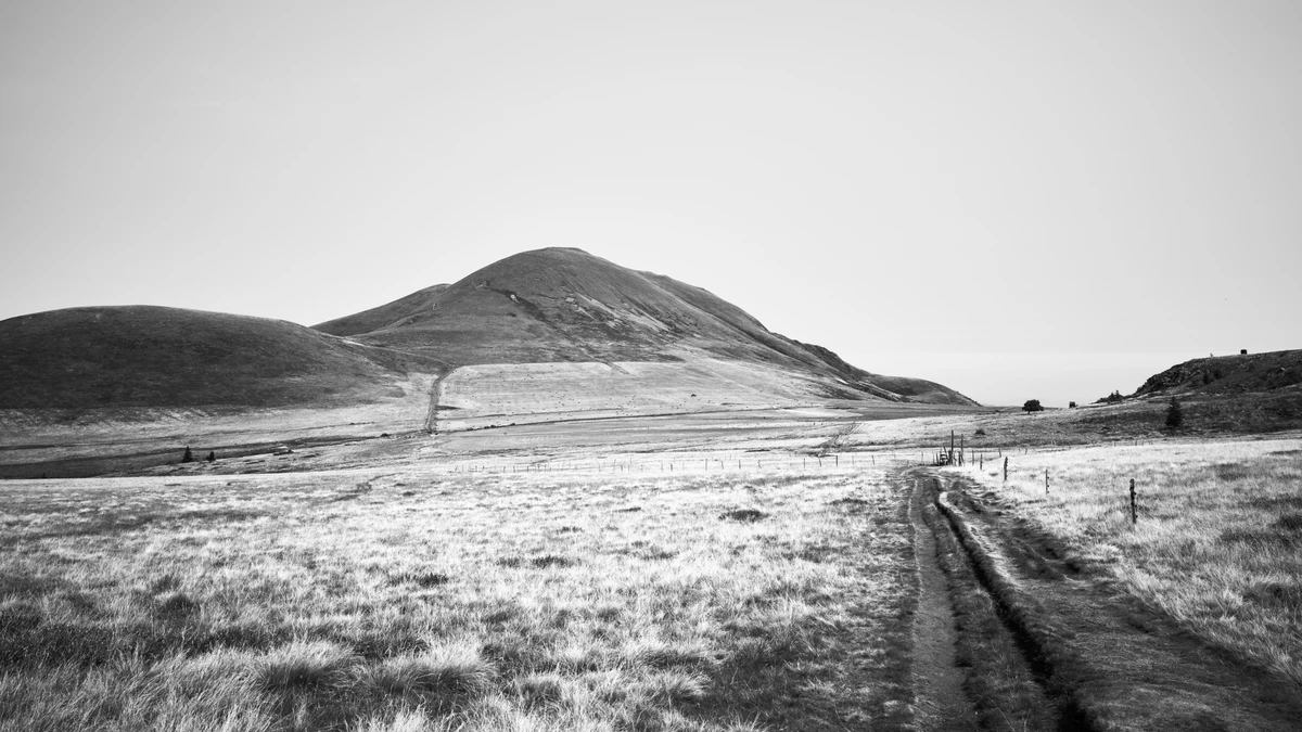 Noir & Blanc — photographie 95