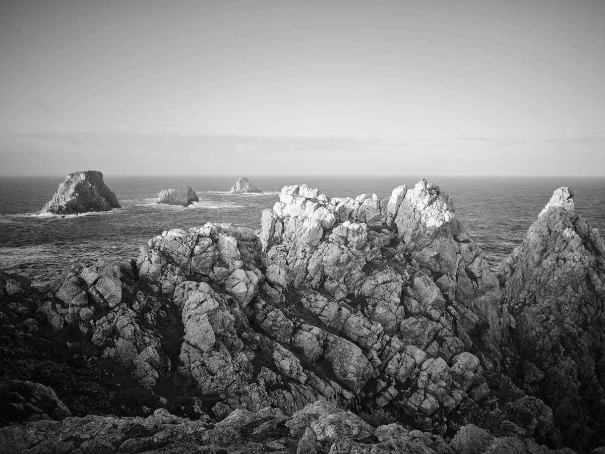Noir & Blanc — photographie 100
