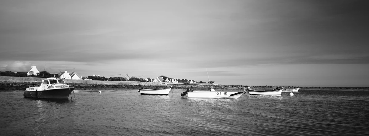 Noir & Blanc — photographie 103