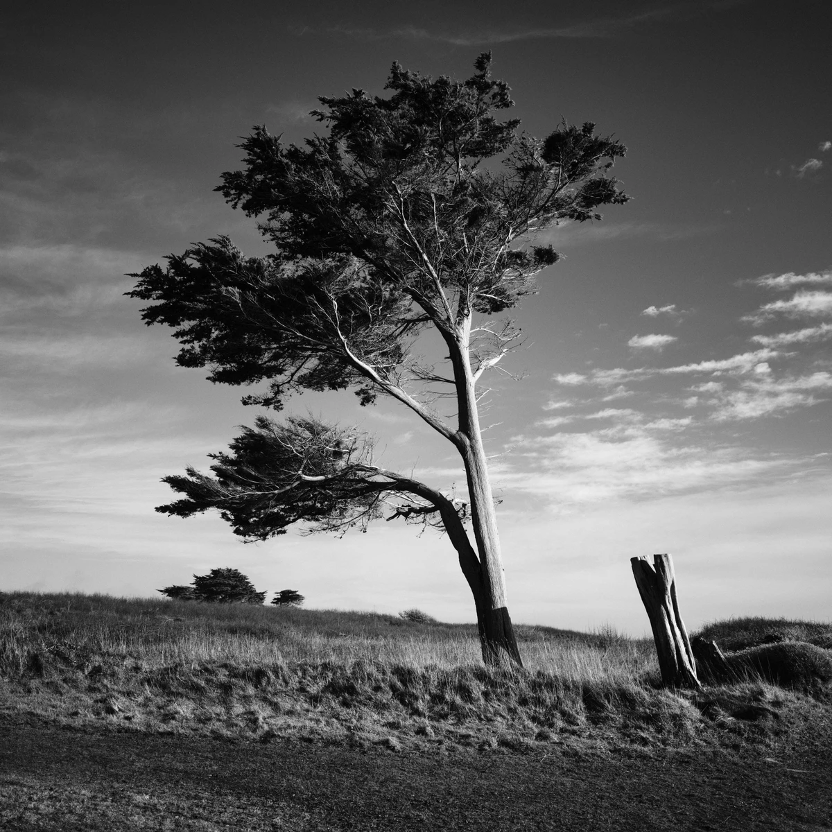 Noir & Blanc — photographie 105