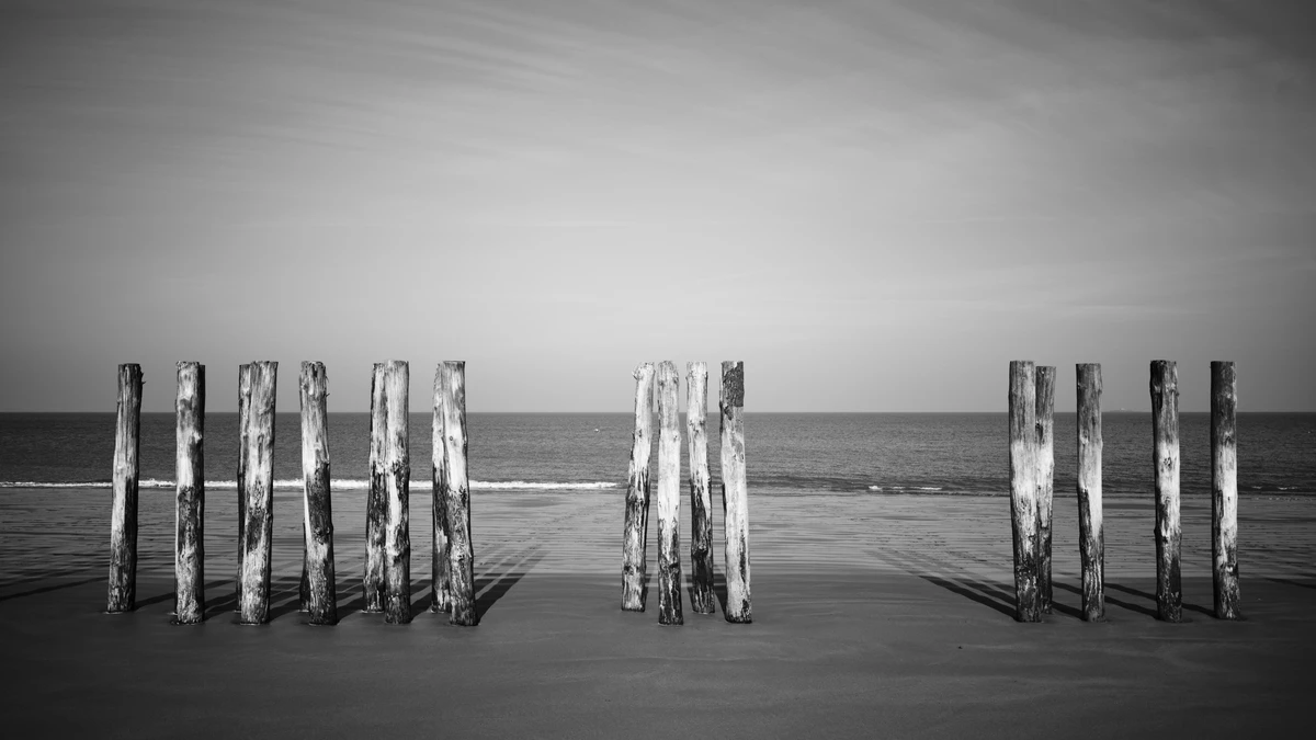 Noir & Blanc — photographie 106