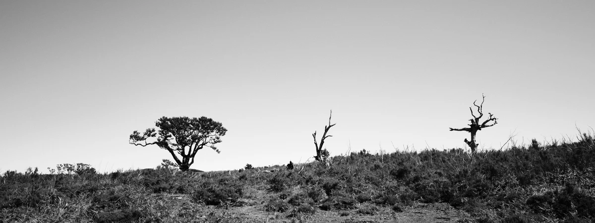 Noir & Blanc — photographie 107